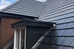 145546092_1310978462603860_2832437998528362875_n