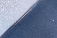 178727424_1365462157155490_2310987040348143360_n