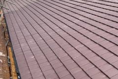 191608800_1387674294934276_6112891857022247337_n