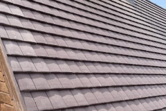 192172976_1387674354934270_1802238071036986924_n